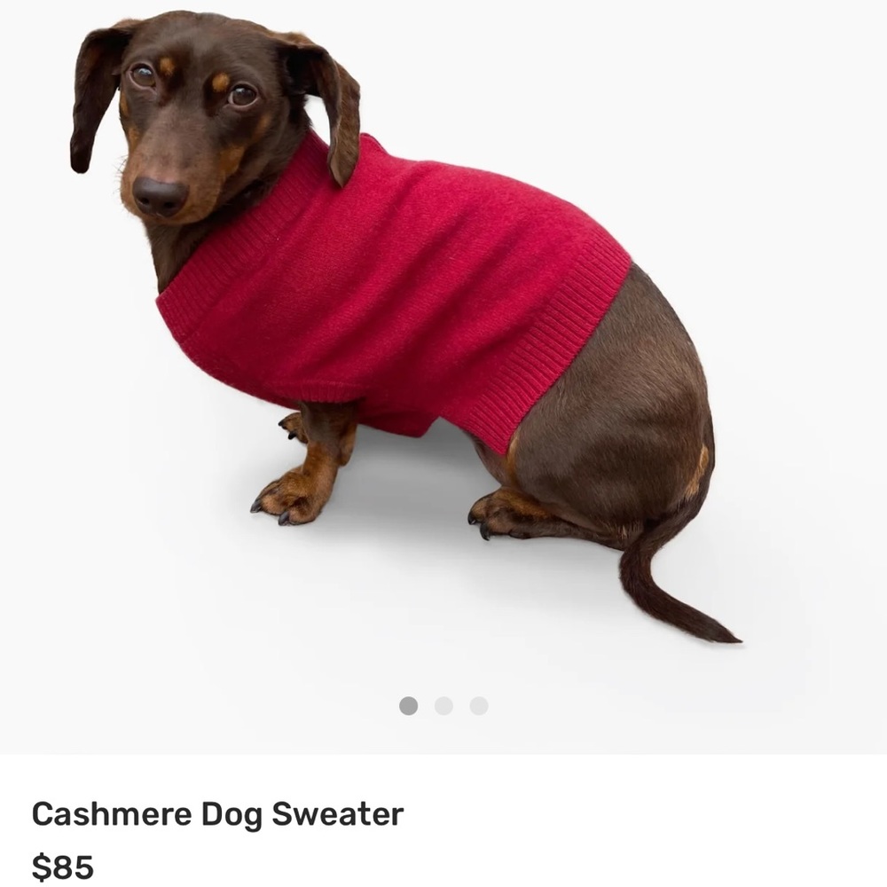Naadam Cashmere Dog Sweater